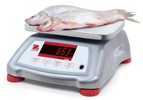 OHAUS V22XWE3T 4 OHAUS V22XWE3T