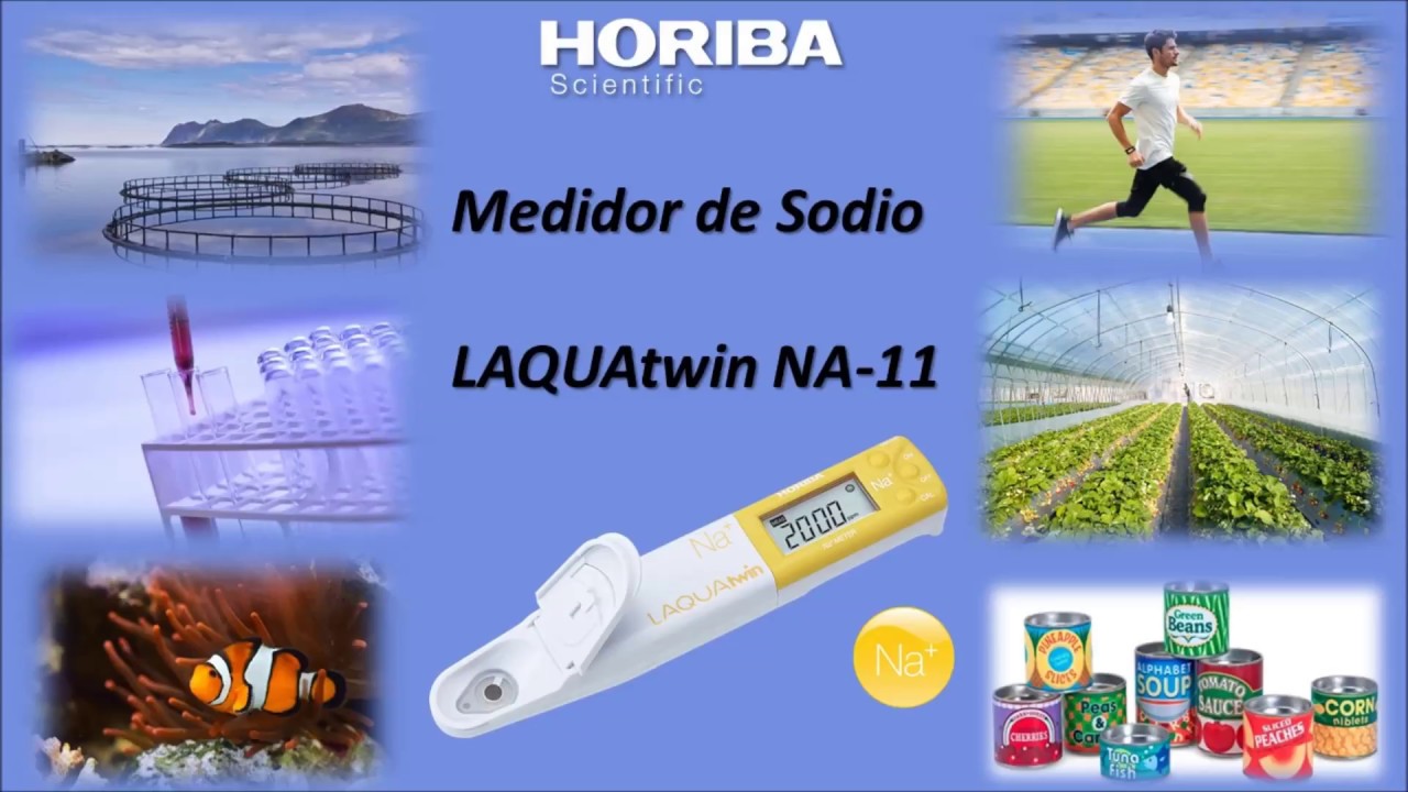 HORIBA NA-11 3 HORIBA NA-11