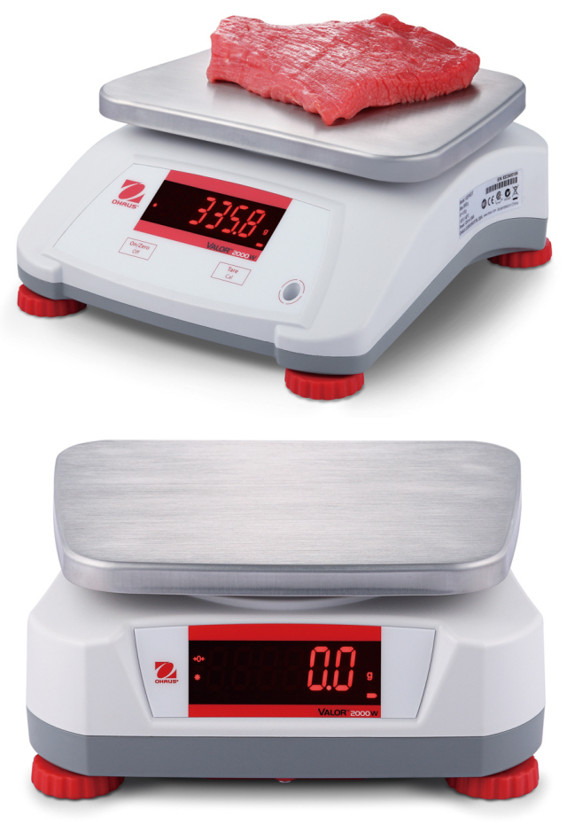 OHAUS V22PWE3T 4 OHAUS V22PWE3T